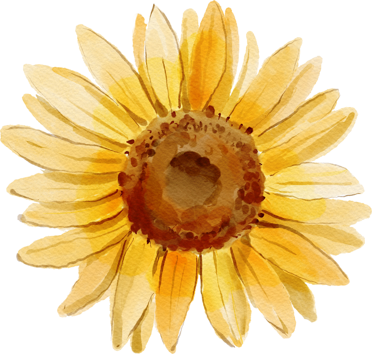 Watercolor Sunflower Illustration